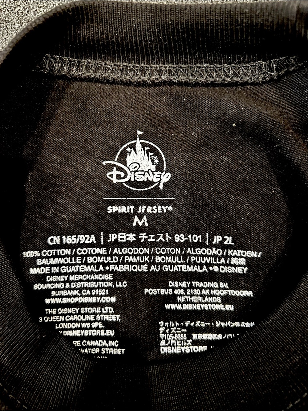 Disney Black Adult Sweatshirt with White Disneyland Resort Logo - Picture 4 of 4